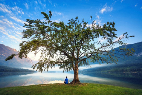 nghe thuat song phat giao