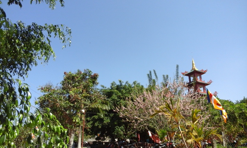 phap hoi duoc su chua hoa nghiem