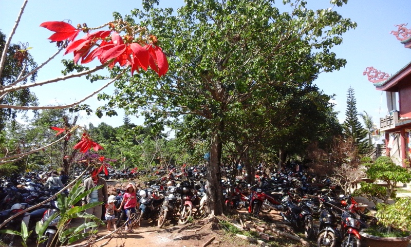 phap hoi duoc su chua hoa nghiem