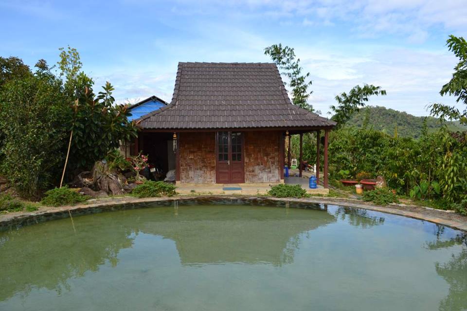 Chùa Linh Quy Pháp Ẩn Tỉnh Lâm Đồng