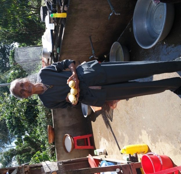 Pháp hội Dược sư