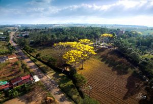 chùa đẹp ở TP Bảo Lộc - Lâm Đồng